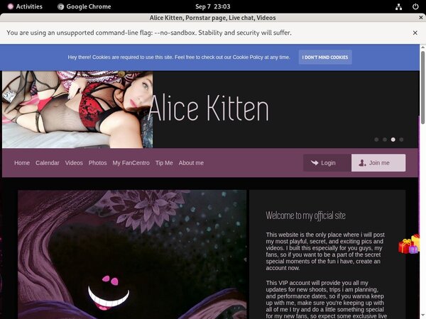 Alice Kitten Bug Me Not