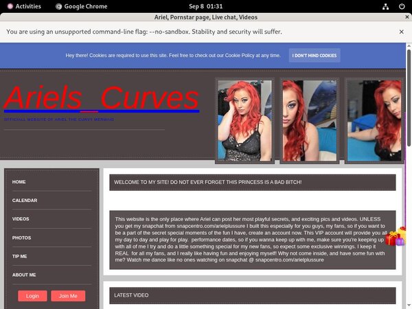 Arielplussure.modelcentro.com Valid Account
