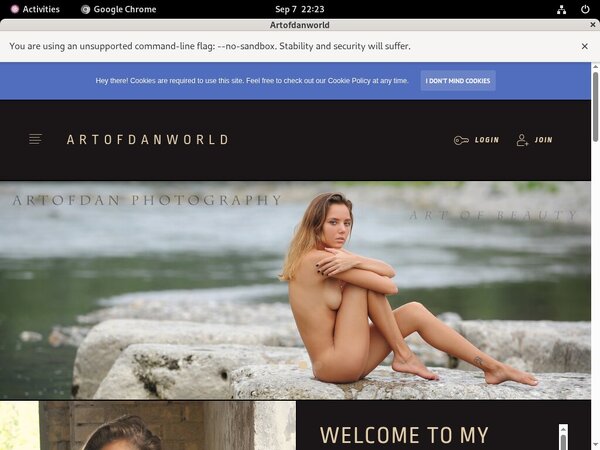 Artofdanworld Discount Membership Deal