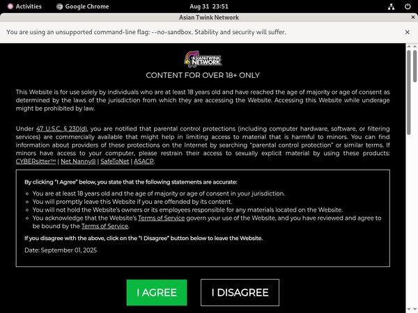 Asia Boy Video Passcodes