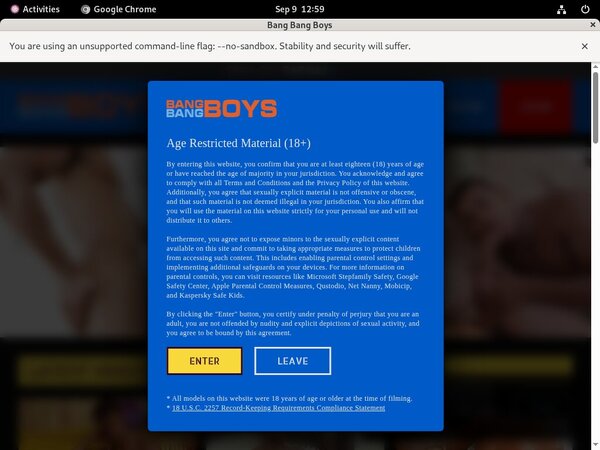 Bangbangboys Vendo Page