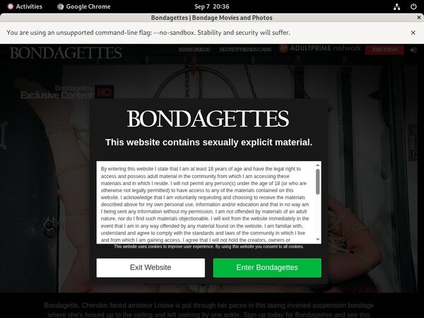 Bondagettes Website Password