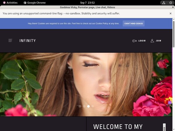 Com Vickythevixxxmodelcentro Login Account