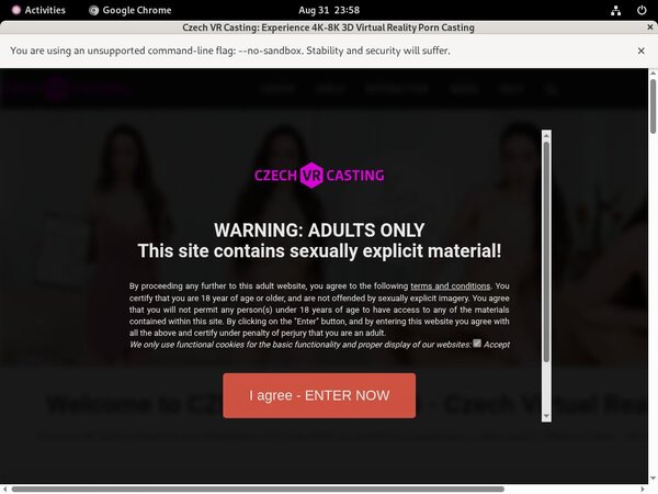 Czechvrcasting.com New Sex Videos