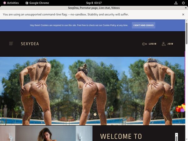 Discount Codes SexyDea