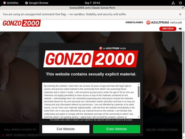 Dl Gonzo 2000 Site Rip