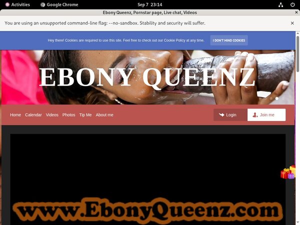 Ebony Queenz Porn Sex