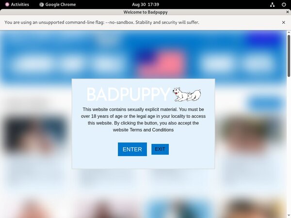 Free Accounts To Badpuppy.com