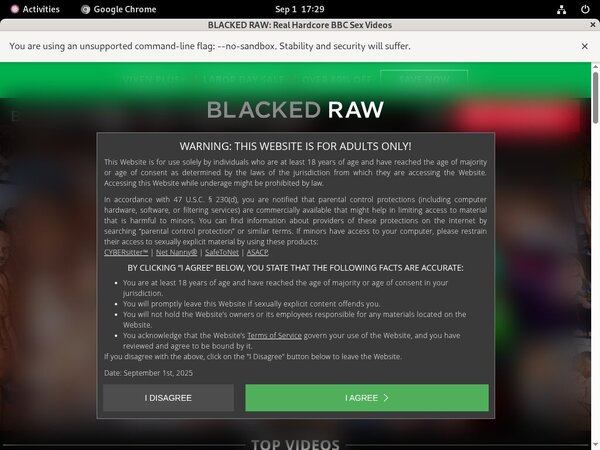 Free Blacked Raw Porn