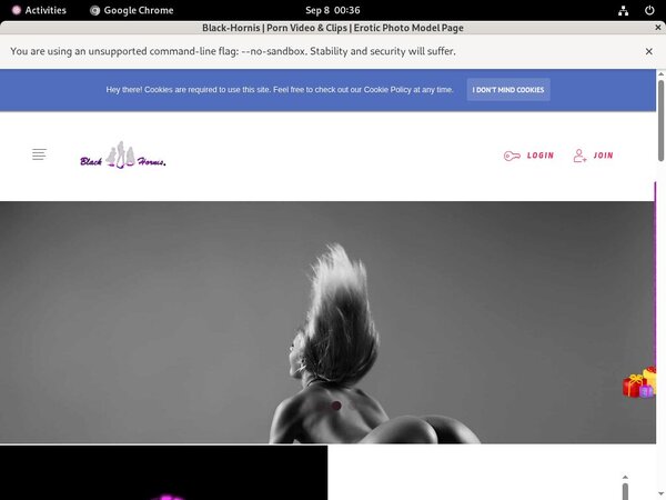 Free Login Black-hornis.net