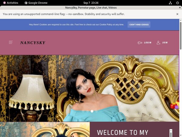 Free Logins Nancysky