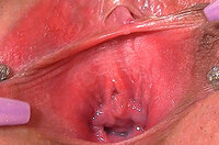 Gapemypussy Tubes s0