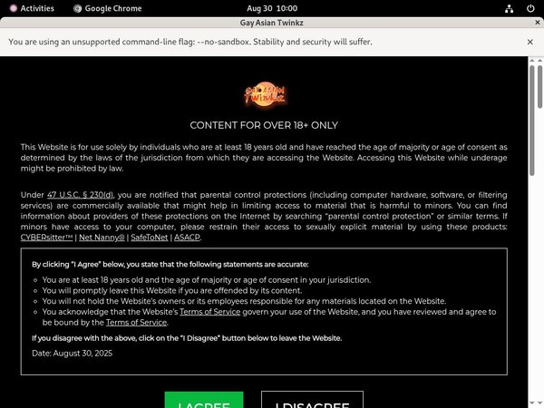 Gayasiantwinkz.com Free Mobile
