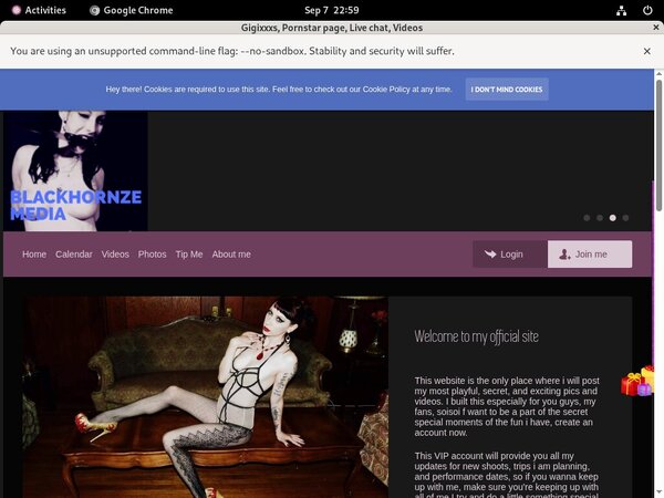 Get Gigixxxs.modelcentro.com Day Trial