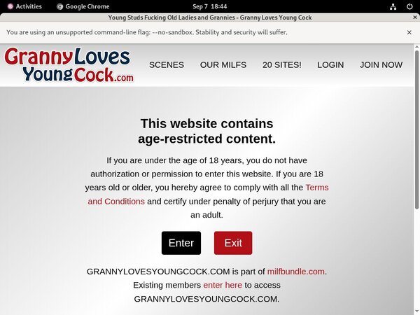 Grannylovesyoungcock Model