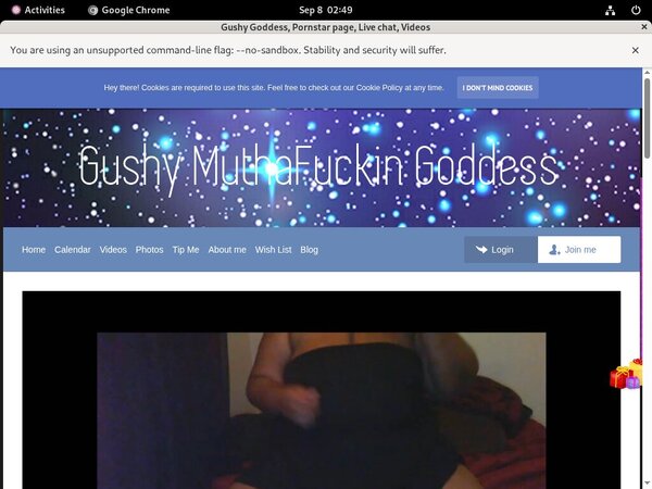 Gushy Goddess Checkout Page