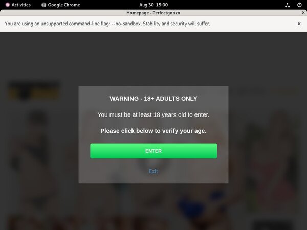 How To Get Free Perfectgonzo Accounts