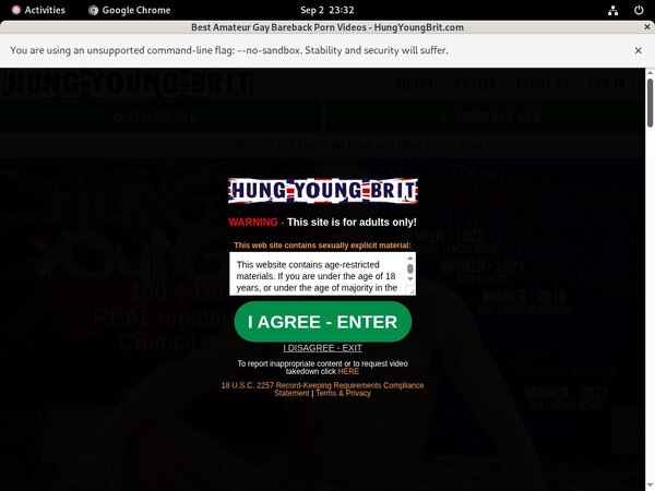 Hung Young Brit Ccbill Form