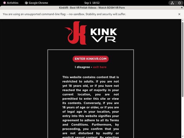 Kinkvr.com Webbilling