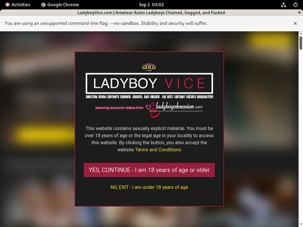 Ladyboy Vice Real Accounts