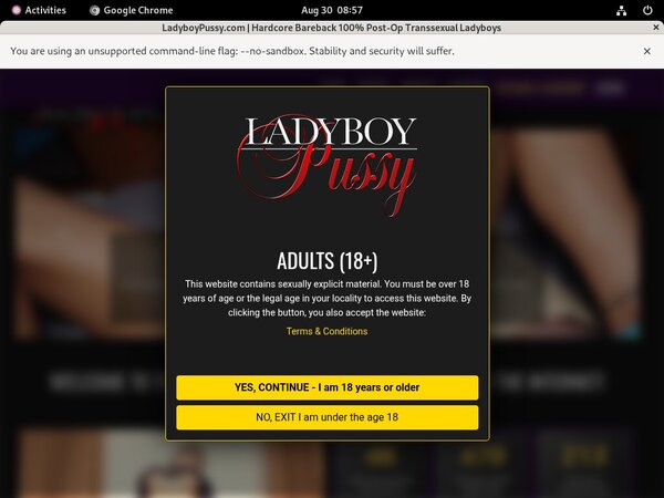 Ladyboypussy Limited Promo