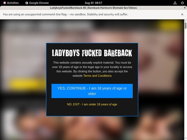 Ladyboysfuckedbareback.com Gay Videos