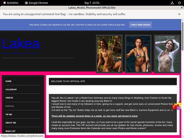 Lakea_Model Stream