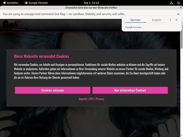 Lana Giselle Paypal Register