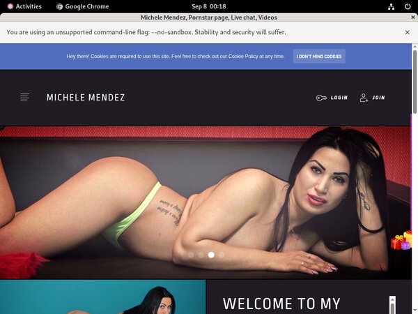 Michele Mendez Trial Login