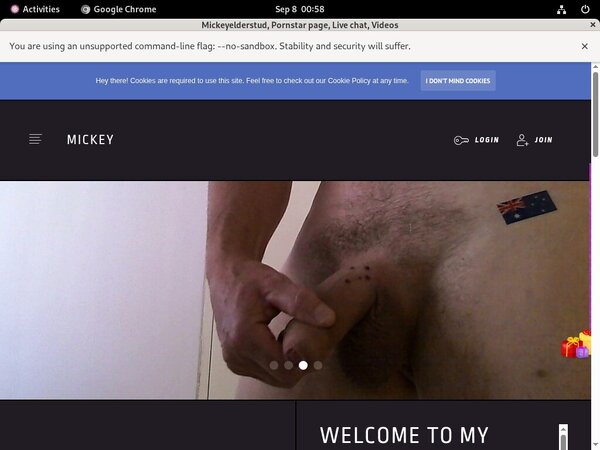 Mickeyelderstud.modelcentro.com 2018