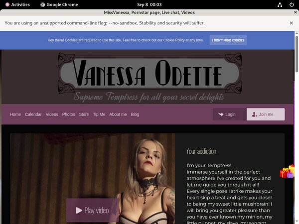 Missvanessa.modelcentro.com Free Trial 2018
