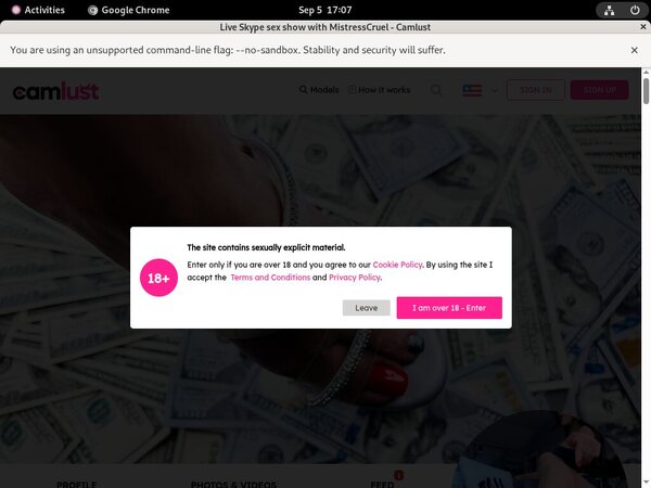 Premium Account Camlust.com