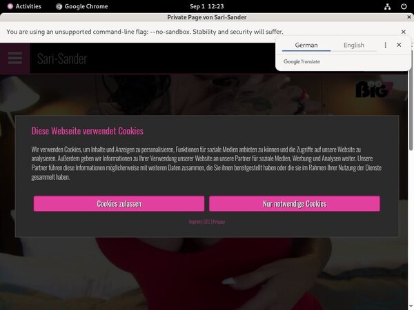Premium Sari Sander Accounts