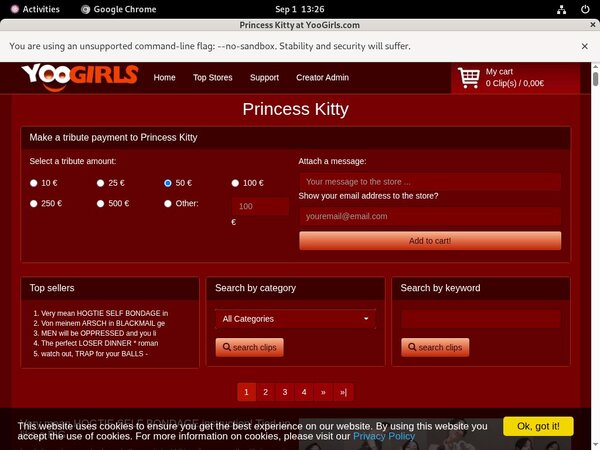 Princess Kitty Password Hack