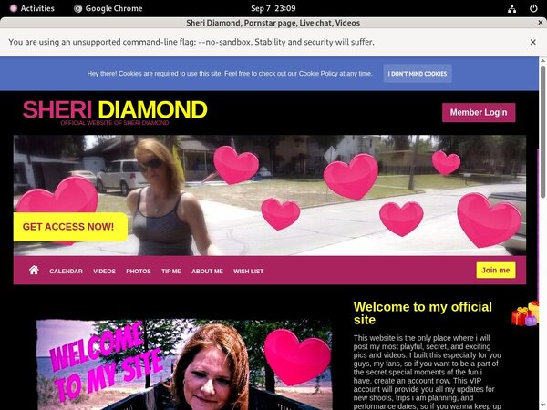 Sheri Diamond Login Ids