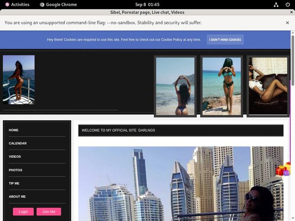 Sibel Free Logins