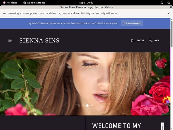 Siennasinns.modelcentro.com Join Free