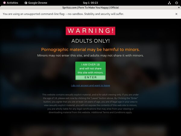Spritzz Checkout Page