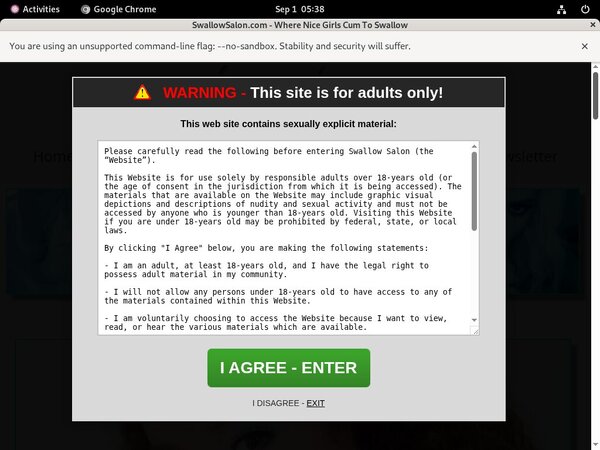 Swallow Salon Accounts Password