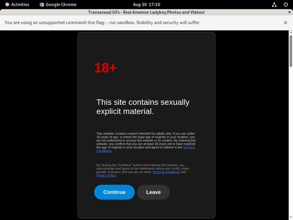 Transsexualgfs.com Porn Account