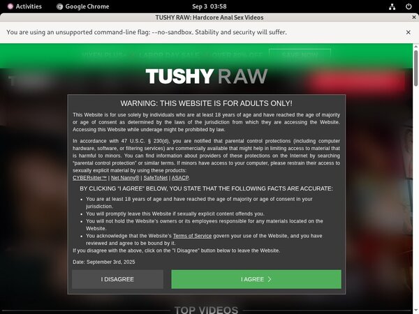 Tushyraw.com Gay Sex
