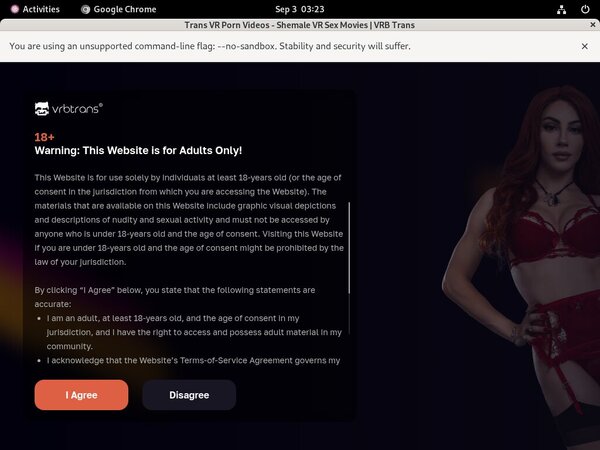 VRB Trans Trans Vr Sex