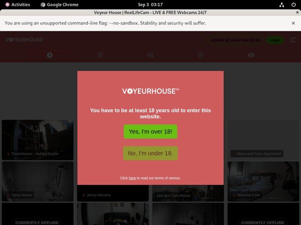 Voyeurhouse.com Tgp