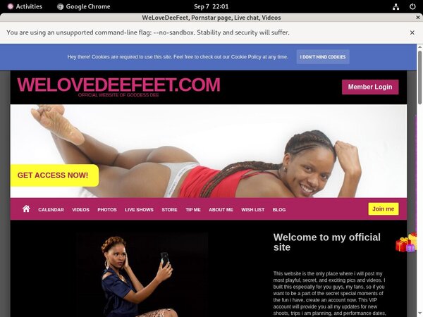 Welovedeefeet.com Cost