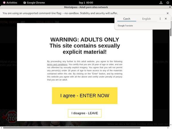 Where To Get Free Mental Pass Account