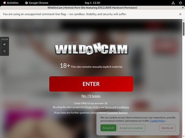 Wild On Cam Porn Movies