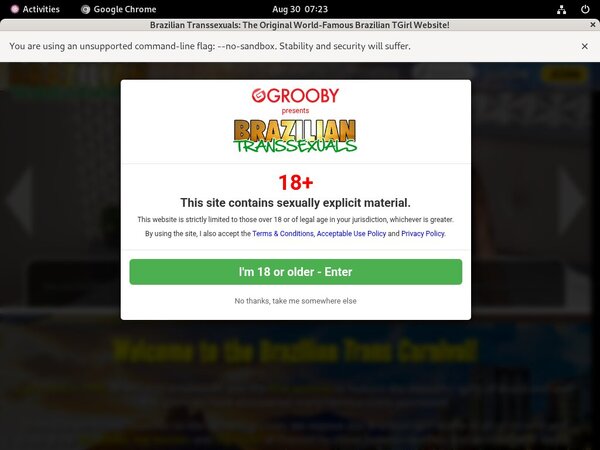 Brazilian Transsexuals Facebook Brazilian Transsexuals Facebook