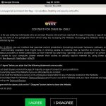 Workin Men XXX Discount Porno
